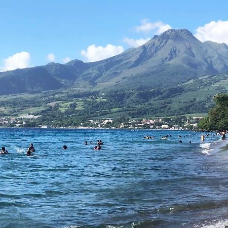 Vila Carribbean Madicreole Au Carbet Le Carbet Exteriér fotografie