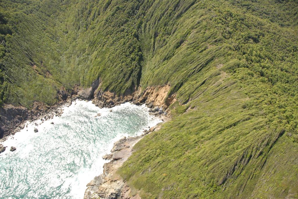 Vila Carribbean Madicreole Au Carbet Le Carbet Exteriér fotografie