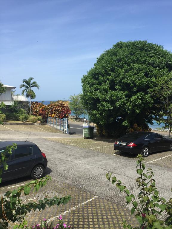 Vila Carribbean Madicreole Au Carbet Le Carbet Exteriér fotografie
