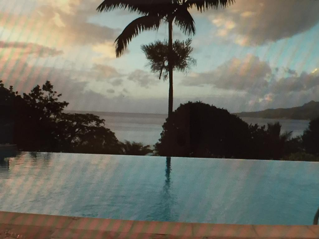 Vila Carribbean Madicreole Au Carbet Le Carbet Exteriér fotografie