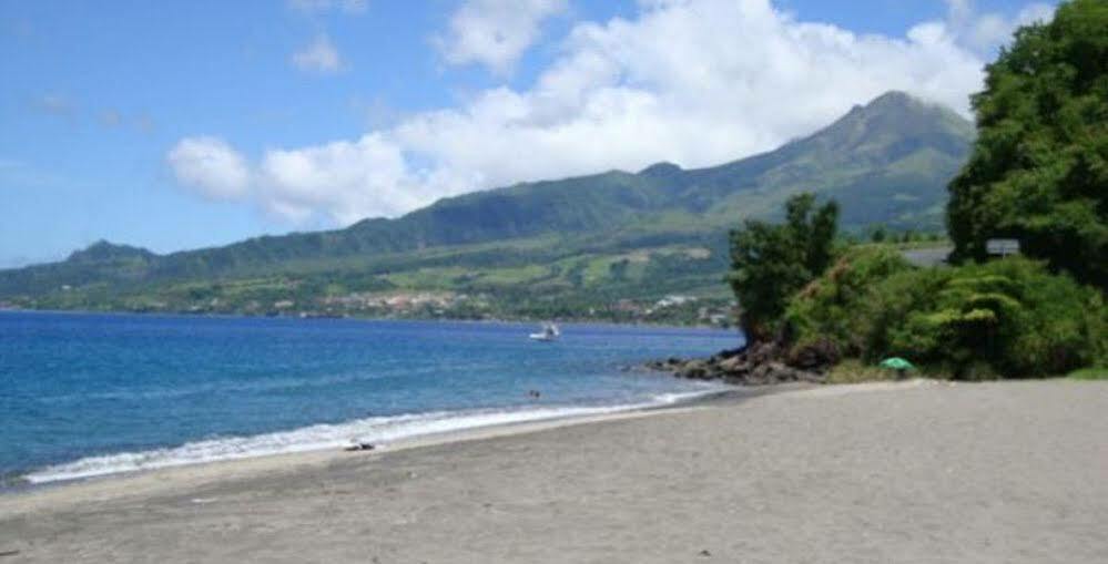 Vila Carribbean Madicreole Au Carbet Le Carbet Exteriér fotografie